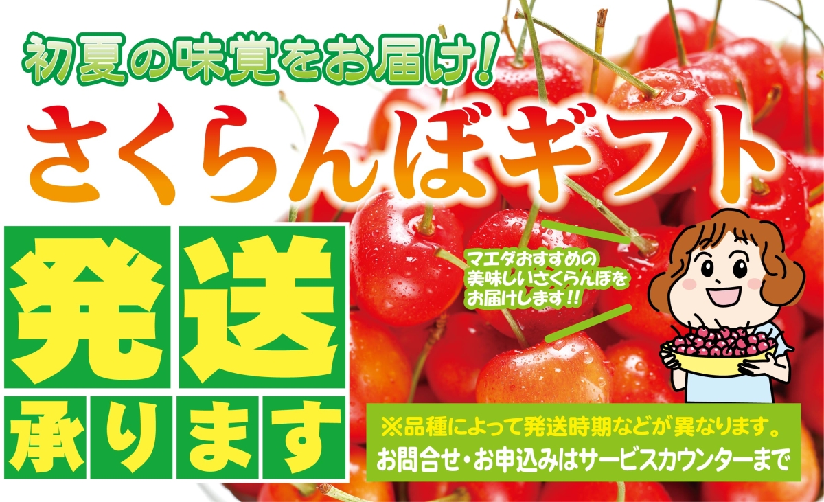 スライド画像5